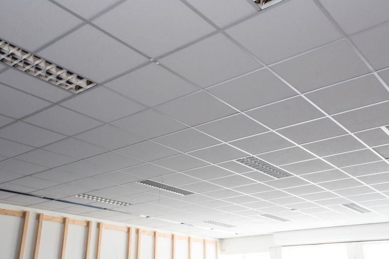 Grid Ceiling Repair